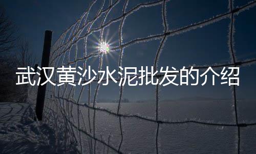 上海大排档丢石子、上海石子黄沙出售、上海沙子石子价格、上海宝山石子