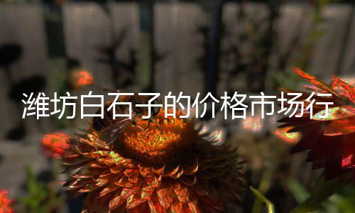上海黄沙停工、上海黄沙水泥费用标准、上海最新的黄沙价格、上海拉黄沙水泥视频