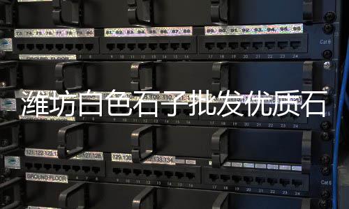 济南石子批发、信阳石子批发商、唐山青石子厂家批发、唐山小石子厂家批发