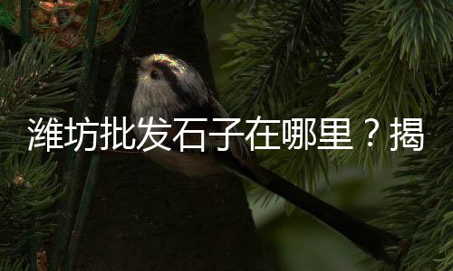 辽阳水泥毯价格走势、杭州水泥化粪池价格单价、太原水泥木纹板价格、厦门木纹水泥板价格