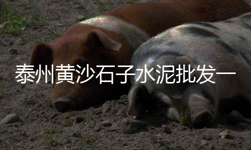 上海市青浦浦盈再生石子、上海石子酒店、石子贤上海、上海石子生意