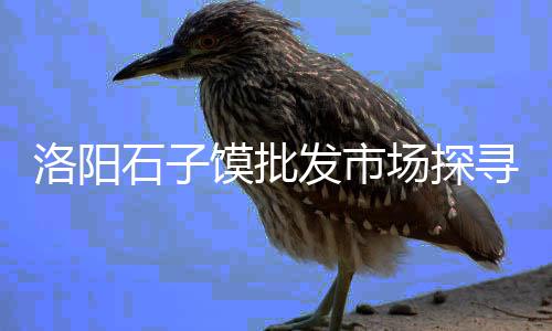 海珠水泥批发、宁波包装水泥批发、雷州水泥管批发、吉林水泥电杆模具批发