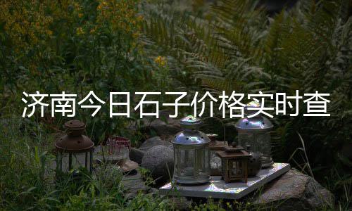 建国道石子批发零售、内江石子批发电话、临潼哪里批发石子馍、石子批发花镜厂家
