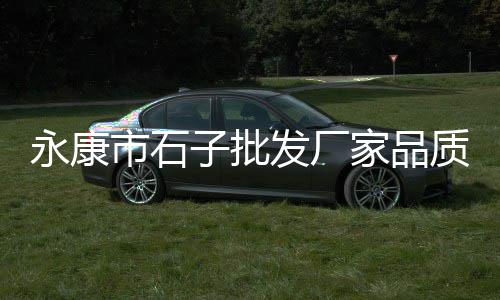 黄沙水产甲鱼价格行情、奈及利亚建筑黄沙价格、黄沙美术用品价格、保定黄沙价格2021