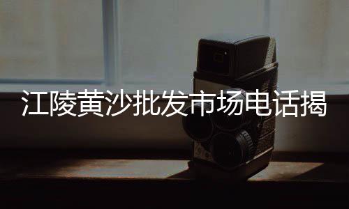 温江黄沙批发市场电话地址、黄沙冰鲜鸡爪批发市场、广州黄沙批发市场买鱼翅、广州黄沙是服装批发城吗