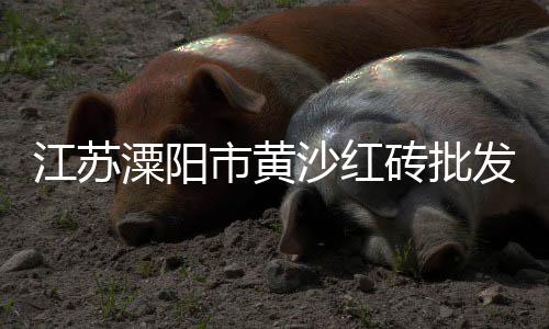 石子黄沙价格表、广州黄沙酒店团购价格、武进水泥黄沙价格查询、黄沙市场榴莲价格多少