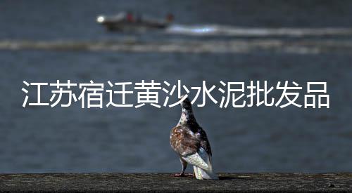 巴中水泥零售、建材水泥沙批发零售附近、常州水泥板零售厂家地址、长春市批发零售沙子水泥