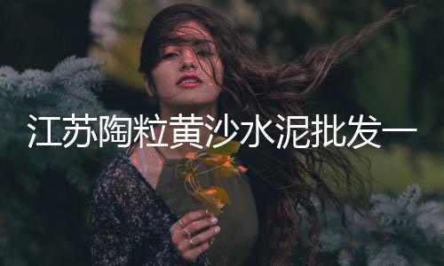 黄沙市场酒店电话地址、广州黄沙市场翘嘴、黄沙市场拼车电话、新黄沙市场内景