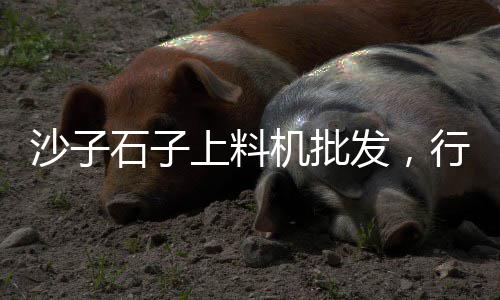 黄沙市场快餐店有哪些店、黄沙市场马鲛鱼价格多少、曲靖黄沙市场在哪里、广州黄沙市场桂林水车