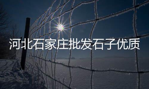 永年水泥零售、水泥砖零售利润、黄沙水泥零售好做吗、广州沙石水泥批发零售