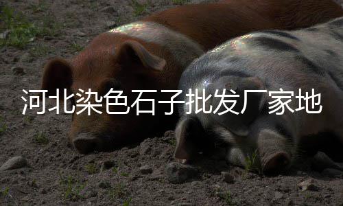 上海祝桥石子厂招聘、上海建材石子品质哪家好、上海江桥再生石子厂、上海公园石子路图