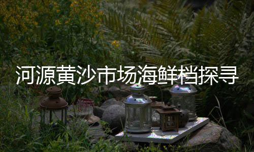 黄沙市场的袋子在哪买的、广州黄沙市场鱼头批发、黄沙市场附近单房、广州黄沙市场有多远