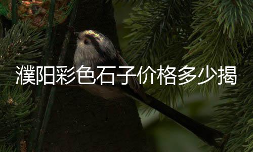 哪里批发石子馍批发、东胜区灰石子厂家批发、临沂石子石料批发市场、武汉白色石子批发在哪里