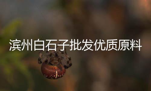 戈壁田黄沙漠漆摆件价格、西城黄沙水泥价格、通山黄沙别墅价格、黄沙刺身价格