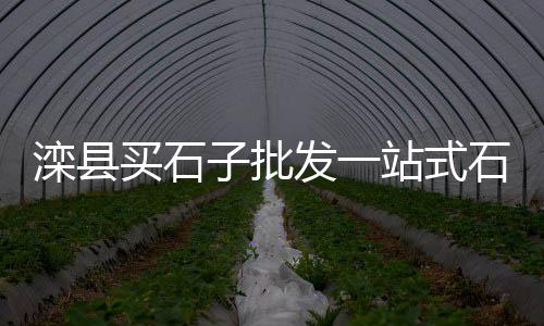 黑龙江水泥防滑条批发、高速隔离水泥墩批发、小型电动水泥花盆批发、段红伟水泥批发