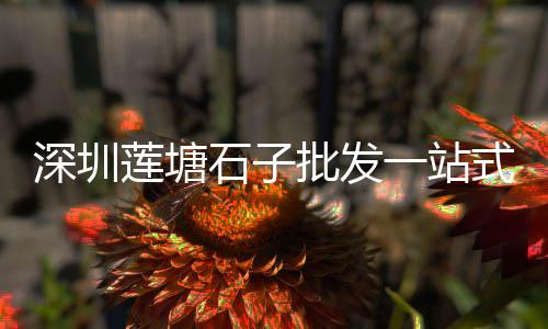 江苏微水泥艺术漆价格、清水泥紫砂壶价格表、装修拉水泥沙子车价格、水泥砂浆m5.0价格