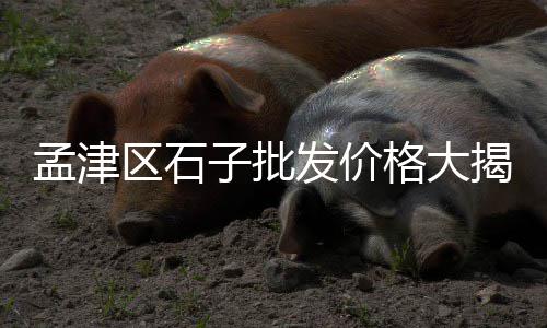 黄沙洞温泉价格、黄沙火锅价格、宁阳黄沙价格、黄沙价格2020