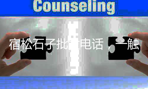 东莞露营地石子批发市场、威海石子厂家批发市场、白灰石子的市场前景、苏州再生石子批发市场