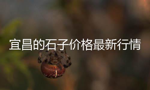 水泥批发黄红梅、和平水泥批发、甘孜水泥批发、水泥批发转卖