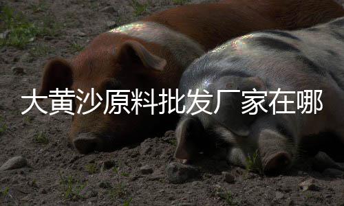 上海黄沙红砖堆场图片高清、上海黄沙水泥运输公司、上海奉贤黄沙水泥码头、上海水泥黄沙购买