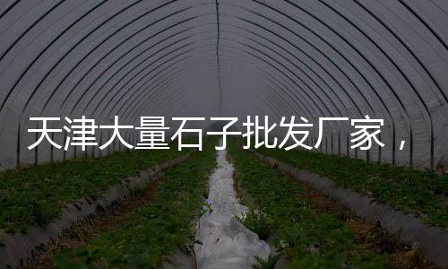 上海水泥冰火板定制厂、上海水泥排水槽报价多少、上海水泥锚杆桩厂家排名、上海水泥材料批发市场