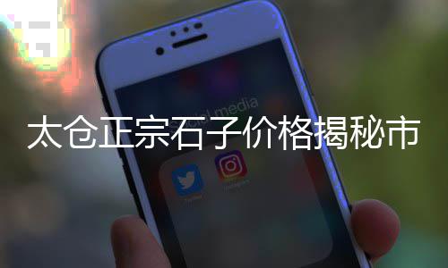 上海液压控制粉碎石子机、上海到宁夏石子运输价格、上海哪有碎石子出售、上海丢石子小视频