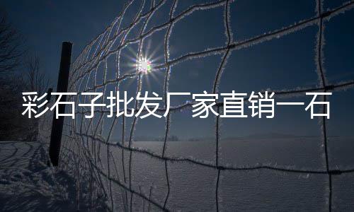 武汉石子价格2024、扶沟沙子石子价格走势、滕州木石石子价格走势、江阴港出售石子价格