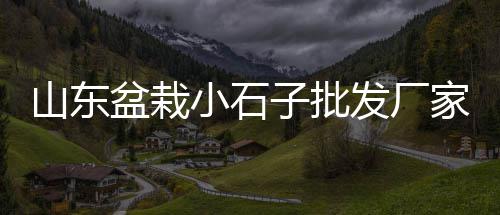 上海金山区石子厂地址、上海再生石子混凝土厂家、江苏上海求购沙子石子、上海彩色石子哪家好