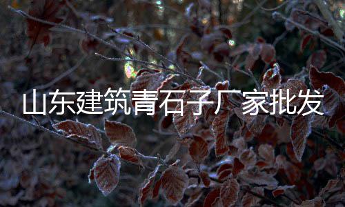 郑州13石子批发、平板石子批发、批发陶瓷石子、园林石子批发