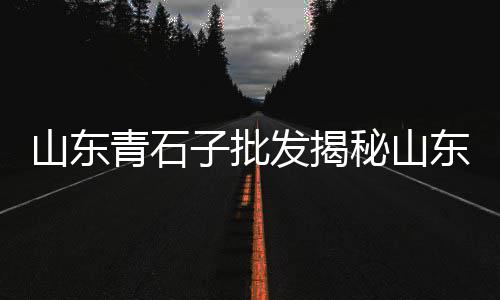 广州黄沙独栋价格多少、黄沙洞古井温泉价格、黄沙港渔港小镇价格、黄沙市场包子价格