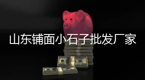 潍坊彩色石子价格多少、清扫石子机器价格多少、彩色石子手工摆件价格、禹城石子价格走势分析