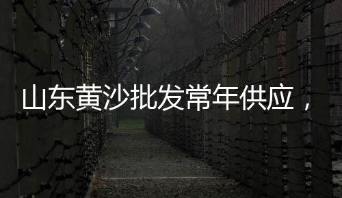 上海水泥基匀质板设备、上海水泥砂子配送公司、上海水泥毯招商网、上海水泥假山加工厂