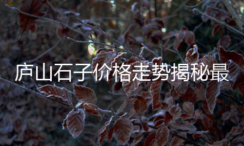 永安市哪有水泥零售店铺、临平沙子水泥批发零售地址、附近水泥零售处在哪里、水泥黄沙批发零售怎么上链接