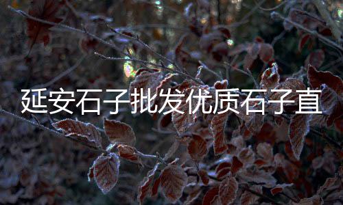 襄垣黄沙批发市场在哪、闵行区批发黄沙厂家直销、崇川区知名黄沙批发市场、云南蛋黄沙批发市场