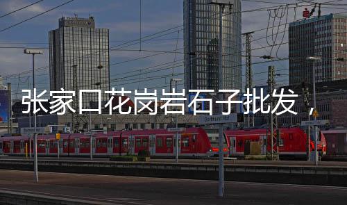中山市户外石子批发零售厂家、大良镇石子零售、重庆石子批发零售、石子零售商