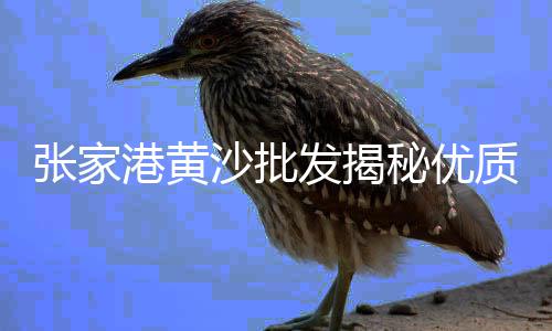 进口水泥发泡板批发价格、天津水泥化粪池模具批发、莆田安全的水泥电线批发、宁德水泥预制井盖批发厂