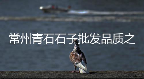 杭州黄沙石子批发、涿州石子机制砂批发、山东辉绿岩石子批发、滁州石子批发厂家地址