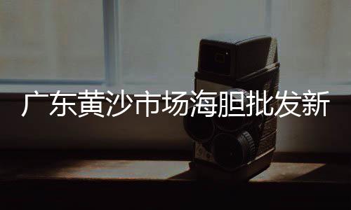 昆明卵石子弹头批发市场、仙游石子批发市场在哪个位置、西宁石子批发市场地址在哪里、齐河县石子厂家批发市场在哪