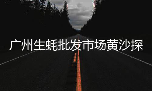 郑州彩色水泥砖批发电话、江苏水泥回转窑批发、阳泉建水泥围墙批发厂、灵寿水泥高速流水槽批发