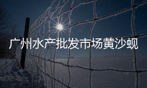 黄沙水泥一般价格、长沙黄沙广场民宿价格、黄沙市场翡翠鲍鱼价格、宜春水泥黄沙价格查询