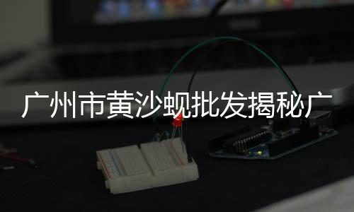 当前水泥市场运行情况、水泥价格市场行情、怀化水泥市场在哪里、布吉沙子水泥市场在哪