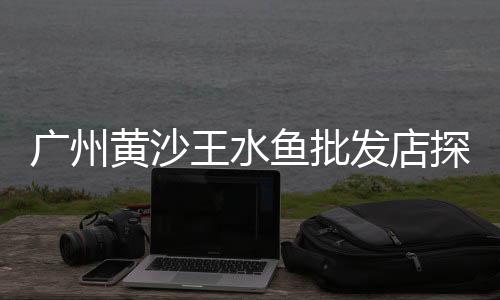 广州黄沙市场椰子螺、黄沙市场蛏子价格表、黄沙市场新年舞狮在哪买、黄沙市场水产加工电话地址