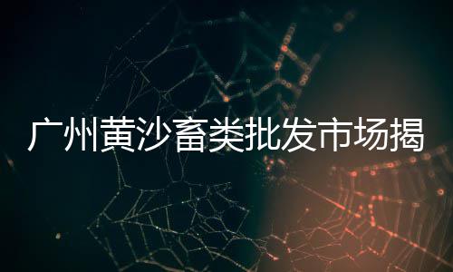 重庆石子儿价格、如皋建材石子价格查询、石子价格构成表格图片、假山盆景小石子价格