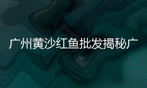 上海水泥井管模具求购、上海水泥块子厂家地址、上海水泥批发门店地址查询、上海水泥毯厂家供货电话