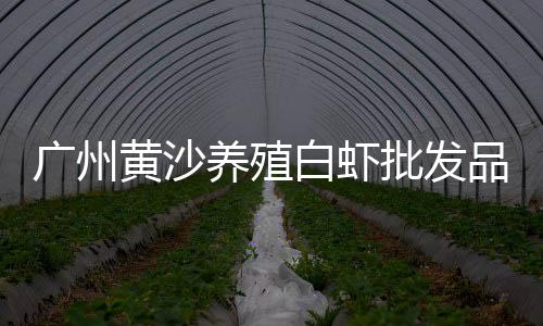 石家庄水泥罐市场、阳泉五金市场水泥井盖、我国水泥外加剂市场、水泥哪里有批发市场