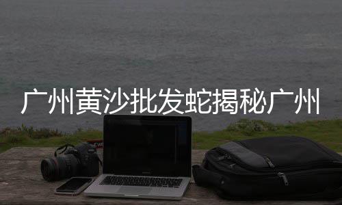 上海南汇黄沙滩美食、上海水泥黄沙市场、上海黄沙岛别墅堵车吗、上海哪里可以买到黄沙子