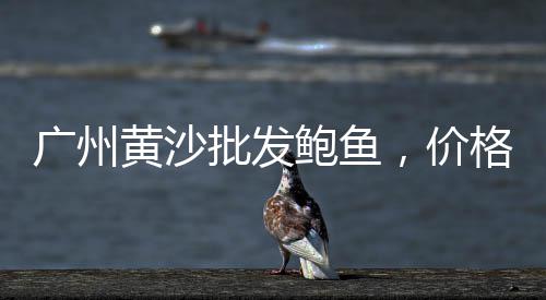 市北区石子零售电话号码、沙子石子料批发零售、水泥黄沙石子零售、罗庄零售石子厂家
