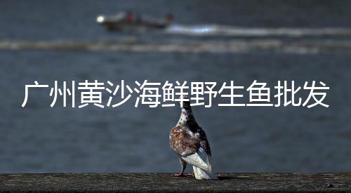 枣阳市黄沙价格、黄沙价格文案沙雕、广东2021年黄沙价格、常州中粗黄沙最新价格