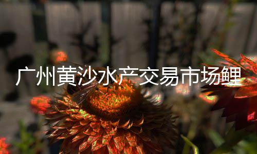 南方水泥价格表、贵州425水泥价格、水泥价格查询社保、清远水泥价格