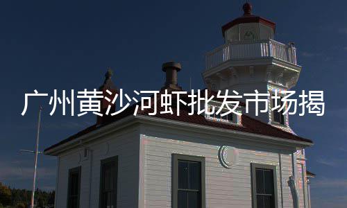 海宁长安黄沙石子水泥批发、广州黄沙批发玫瑰龙、山东水泥黄沙批发中心、西江黄沙蚬可批发